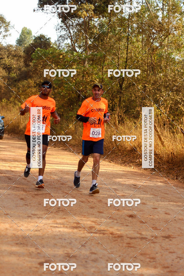 Buy your photos of the event11 Meia Maratona das guas - Poos / Pocinhos on Fotop