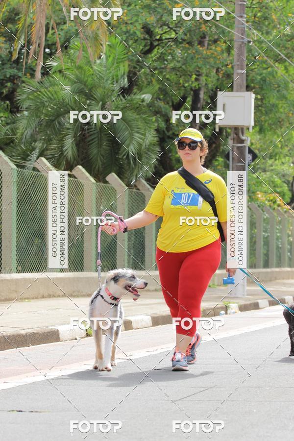 Buy your photos of the eventCircuito Banco do Brasil - Campinas on Fotop