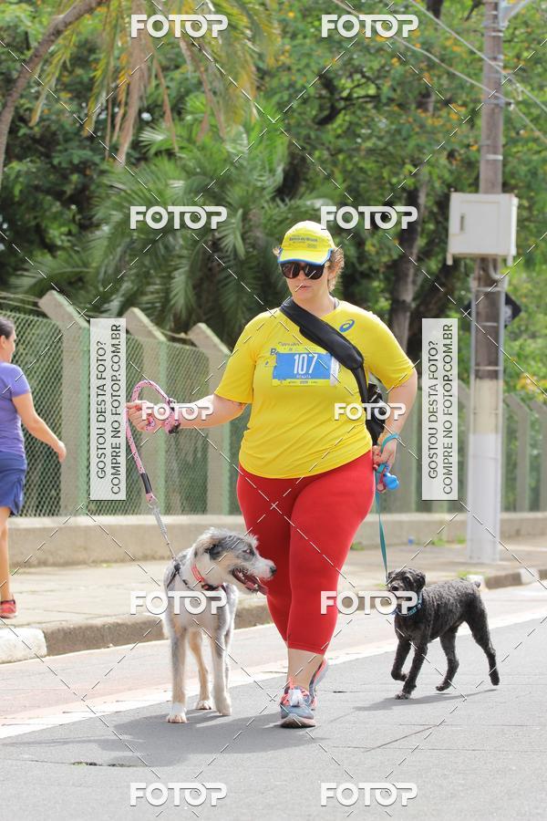 Buy your photos of the eventCircuito Banco do Brasil - Campinas on Fotop