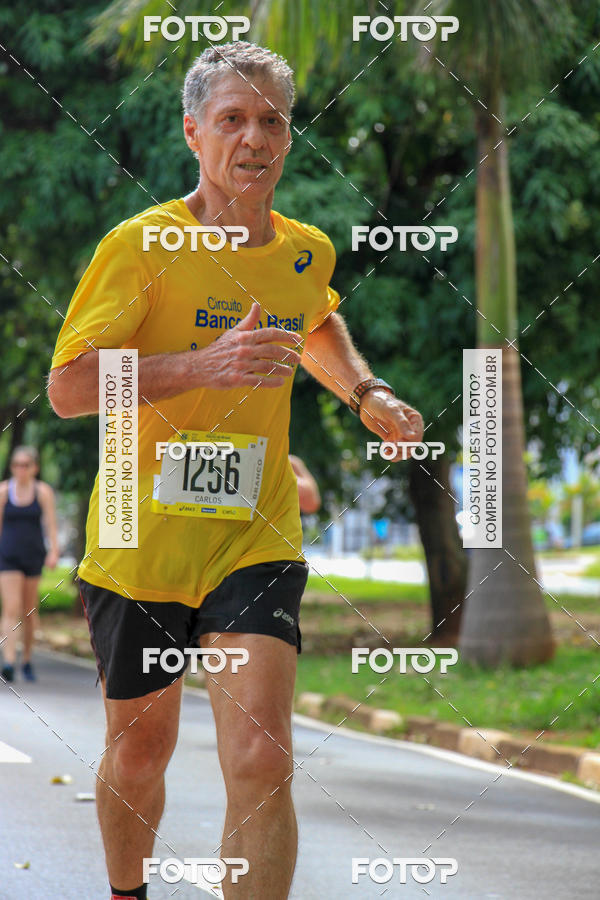 Buy your photos of the eventCircuito Banco do Brasil - Campinas on Fotop