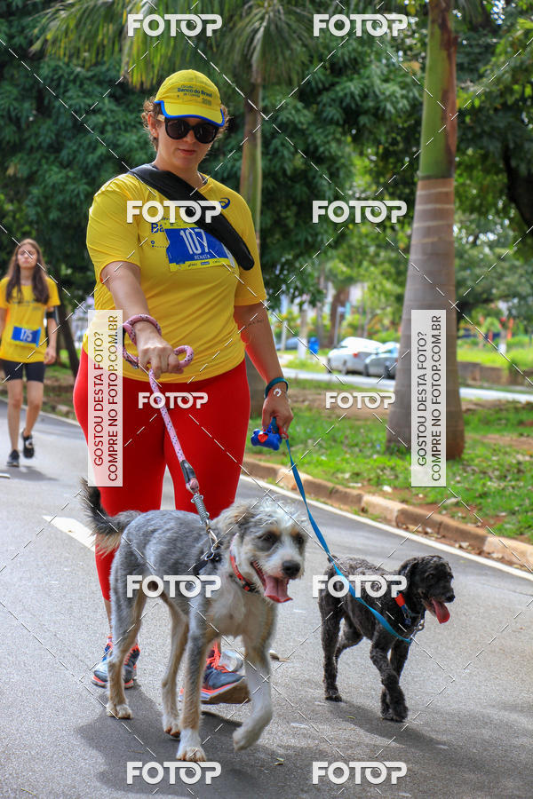 Buy your photos of the eventCircuito Banco do Brasil - Campinas on Fotop