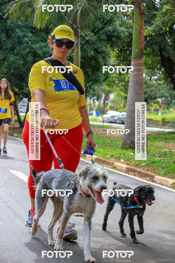 Buy your photos of the eventCircuito Banco do Brasil - Campinas on Fotop