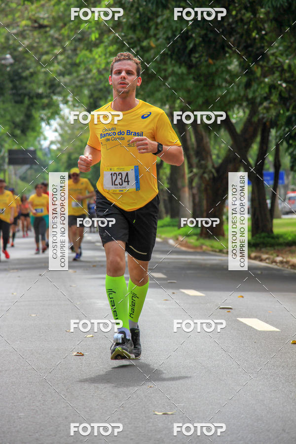 Buy your photos of the eventCircuito Banco do Brasil - Campinas on Fotop