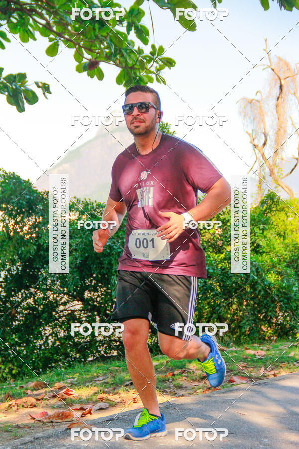 Buy your photos of the eventVelox Run on Fotop