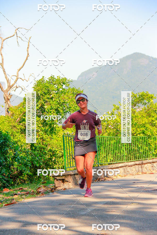 Buy your photos of the eventVelox Run on Fotop