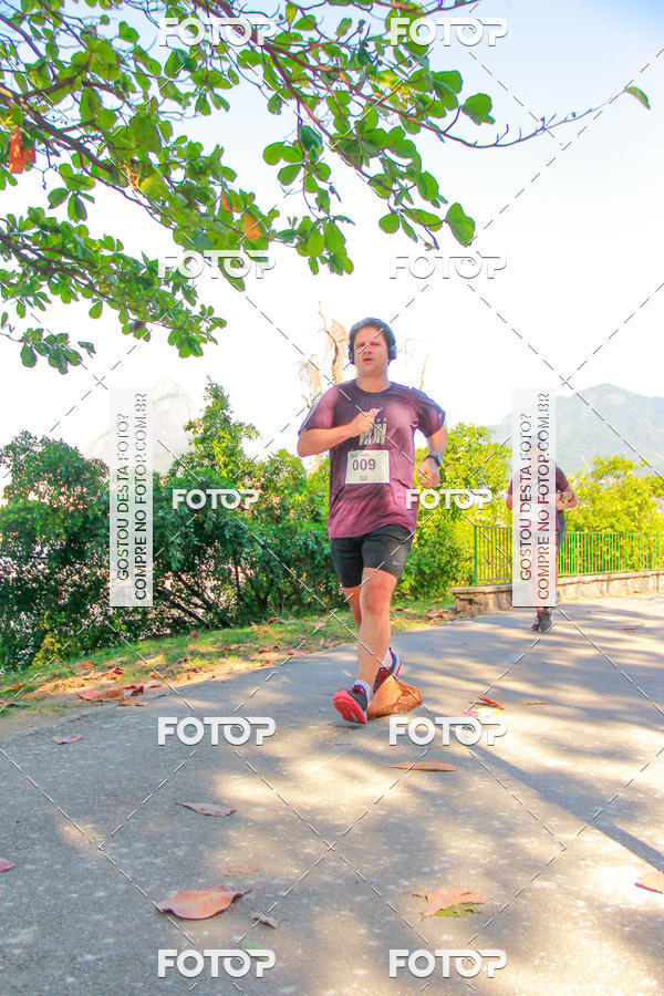 Buy your photos of the eventVelox Run on Fotop