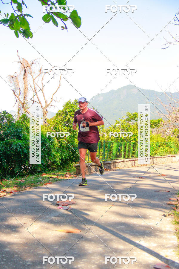 Buy your photos of the eventVelox Run on Fotop