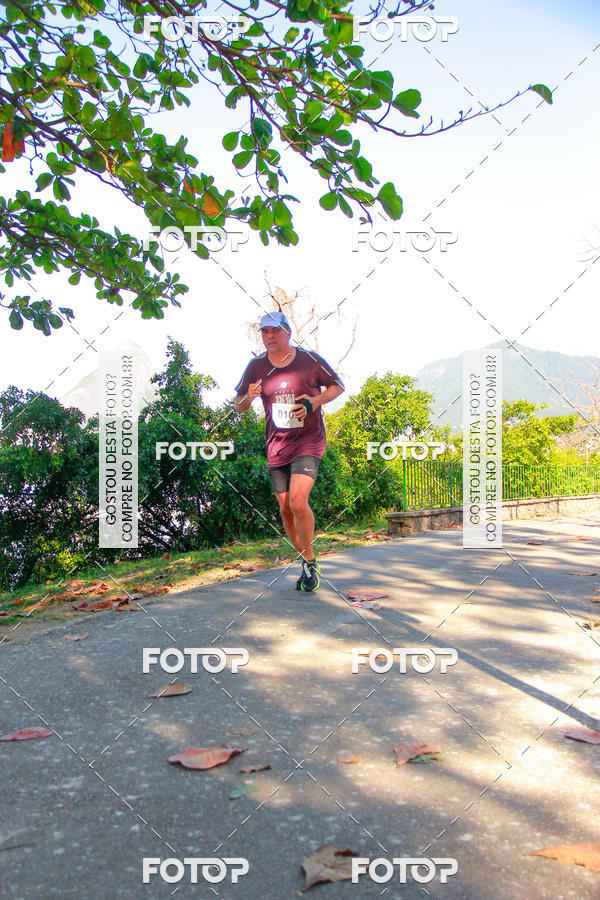 Buy your photos of the eventVelox Run on Fotop