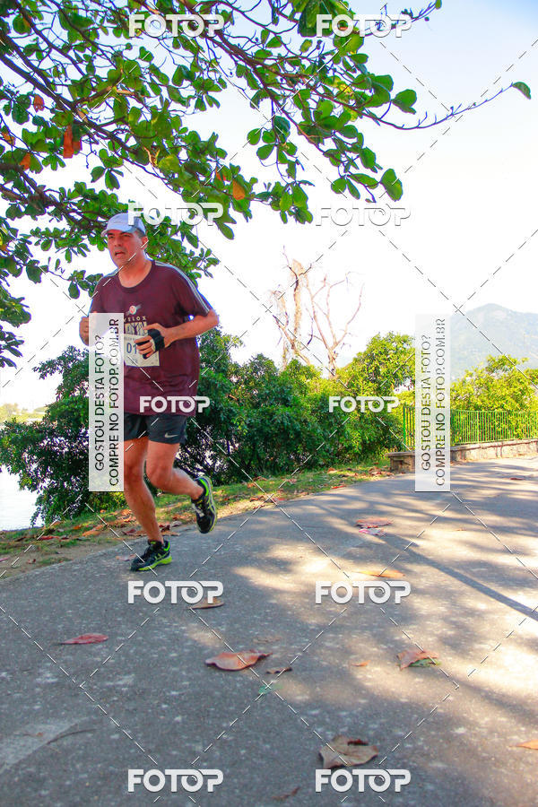 Buy your photos of the eventVelox Run on Fotop