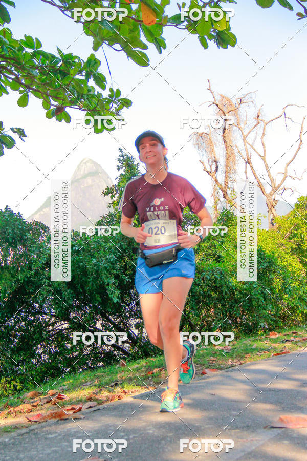 Buy your photos of the eventVelox Run on Fotop