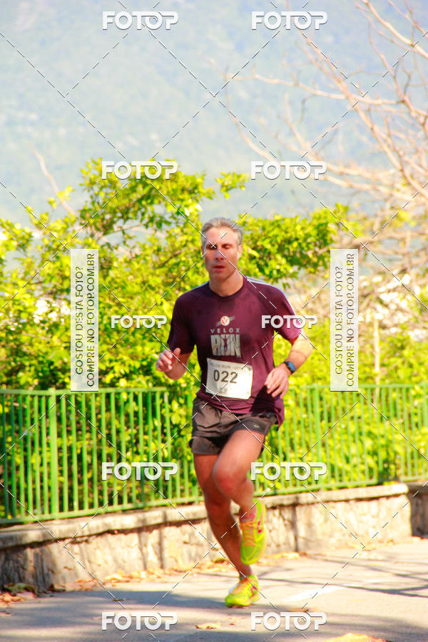 Buy your photos of the eventVelox Run on Fotop