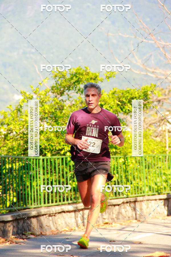 Buy your photos of the eventVelox Run on Fotop