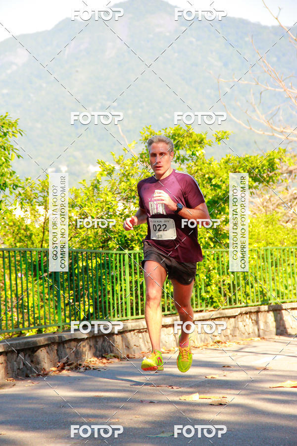 Buy your photos of the eventVelox Run on Fotop
