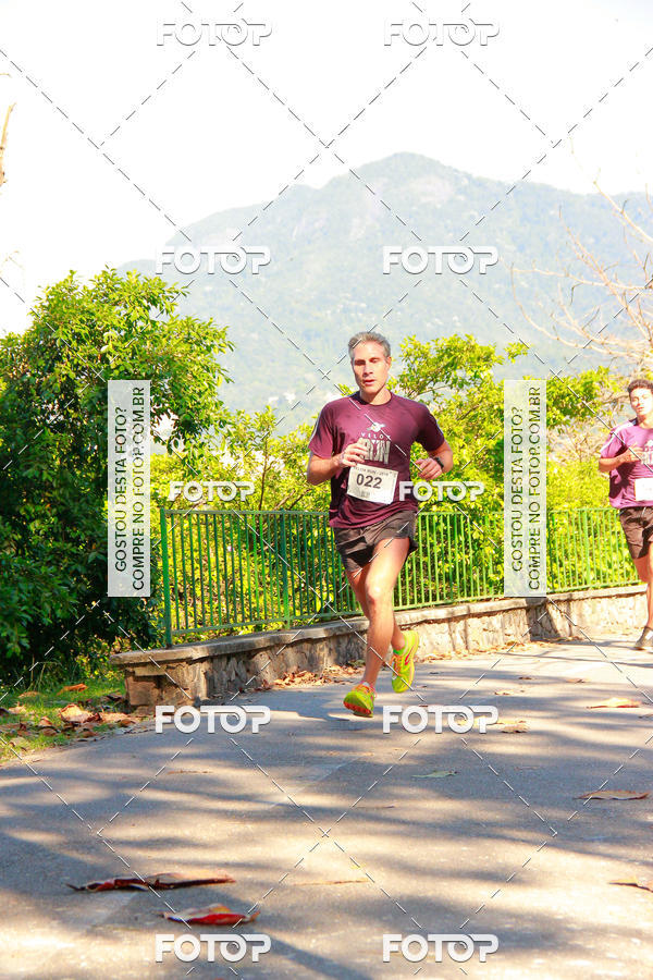 Buy your photos of the eventVelox Run on Fotop