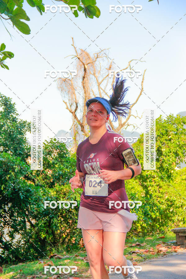 Buy your photos of the eventVelox Run on Fotop