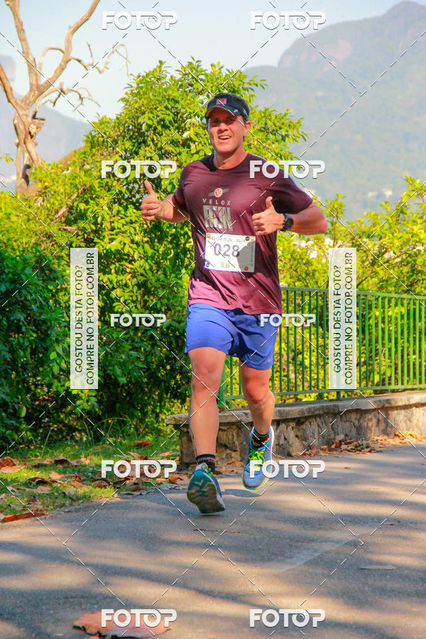 Buy your photos of the eventVelox Run on Fotop