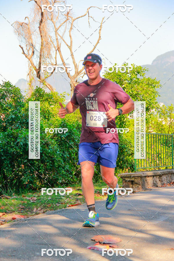 Buy your photos of the eventVelox Run on Fotop
