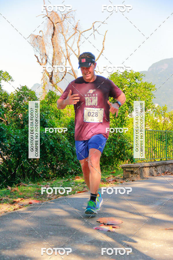 Buy your photos of the eventVelox Run on Fotop