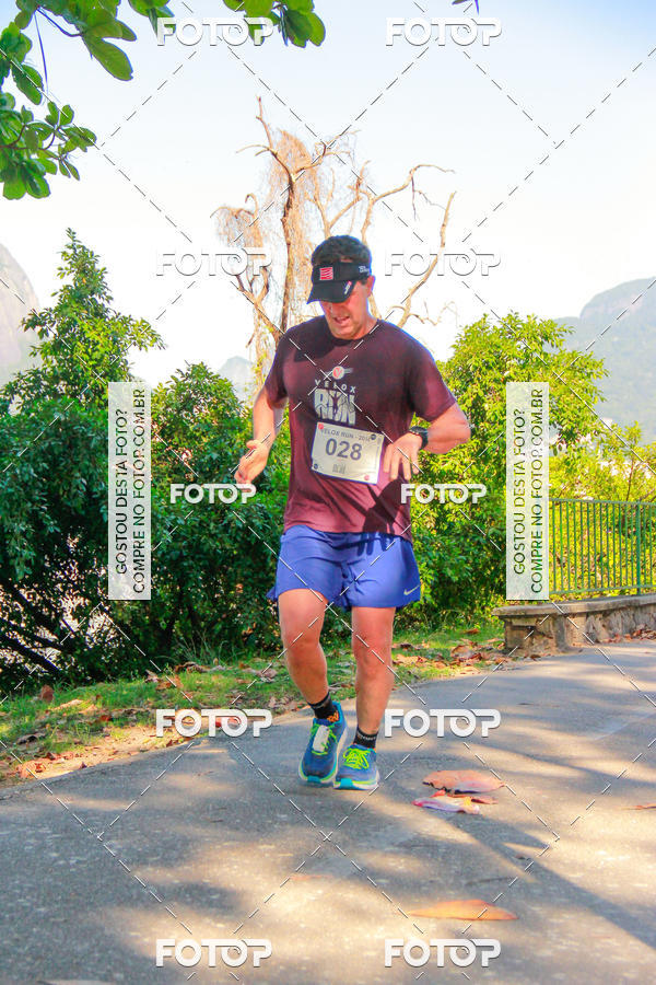 Buy your photos of the eventVelox Run on Fotop