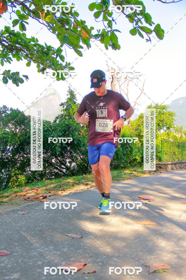 Buy your photos of the eventVelox Run on Fotop