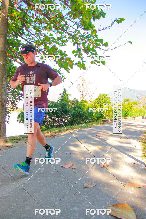 Buy your photos of the eventVelox Run on Fotop
