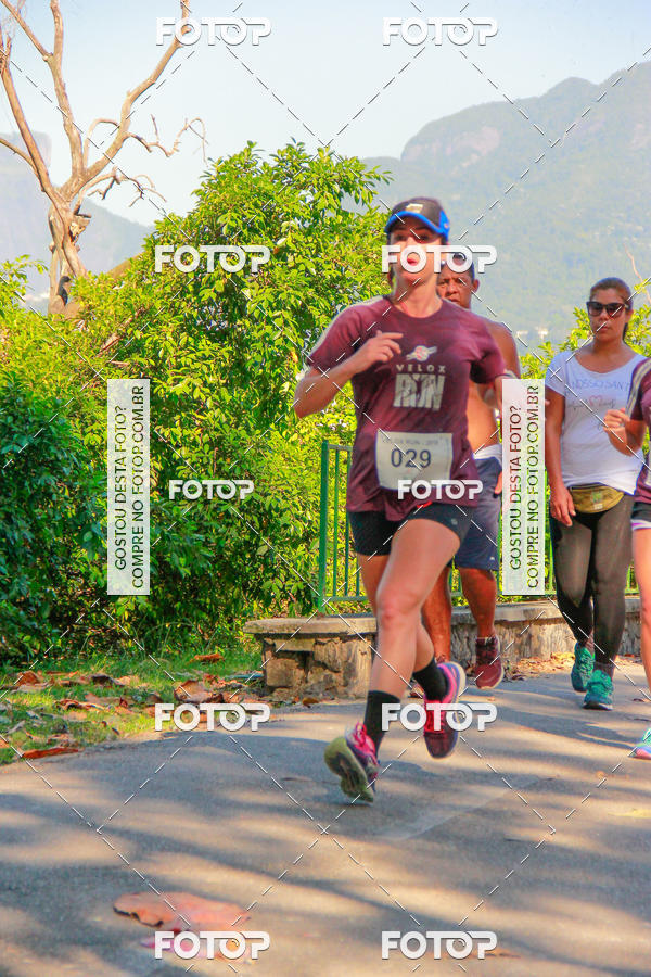 Buy your photos of the eventVelox Run on Fotop