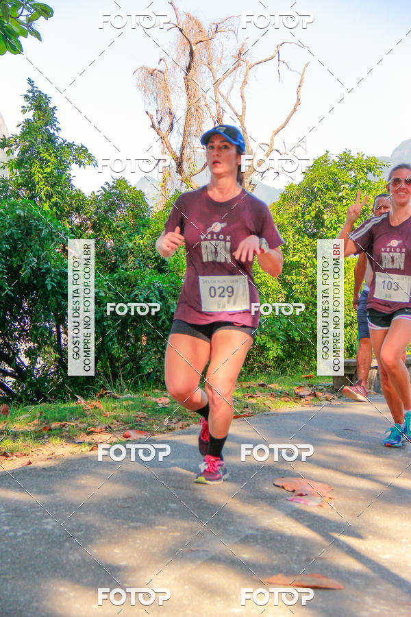 Buy your photos of the eventVelox Run on Fotop