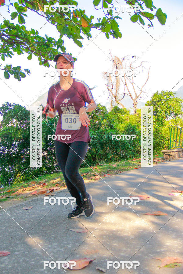 Buy your photos of the eventVelox Run on Fotop