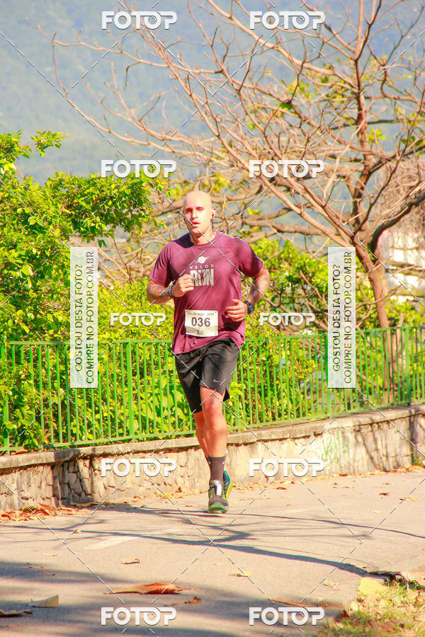 Buy your photos of the eventVelox Run on Fotop