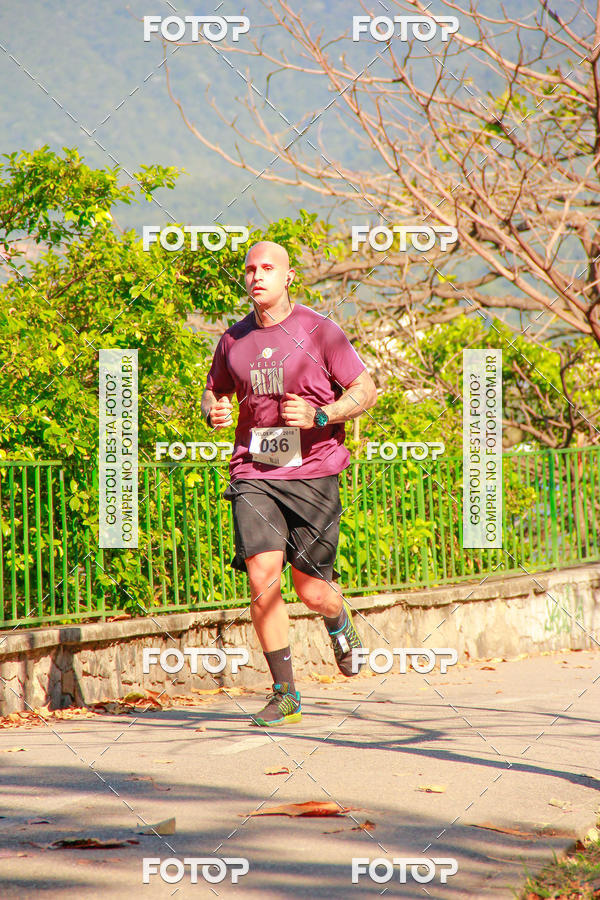 Buy your photos of the eventVelox Run on Fotop