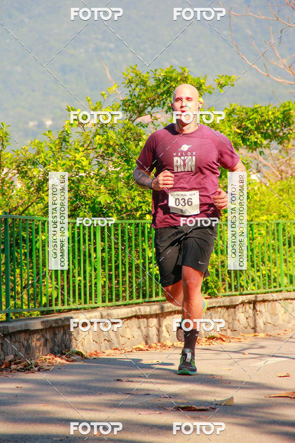 Buy your photos of the eventVelox Run on Fotop