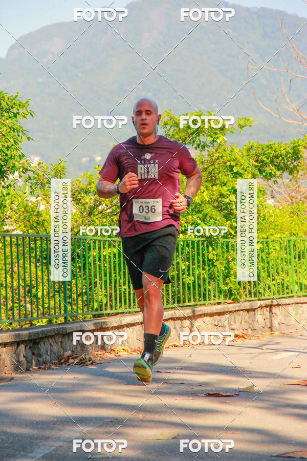Buy your photos of the eventVelox Run on Fotop