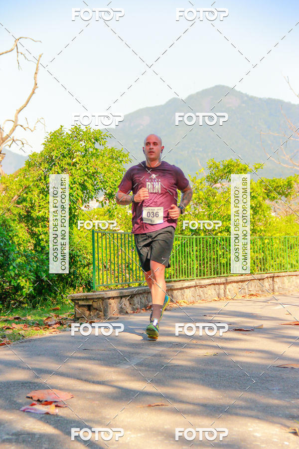 Buy your photos of the eventVelox Run on Fotop