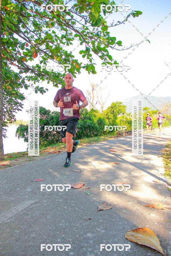 Buy your photos of the eventVelox Run on Fotop