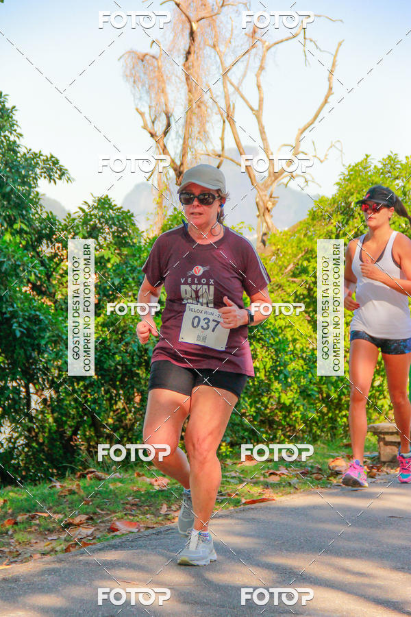 Buy your photos of the eventVelox Run on Fotop