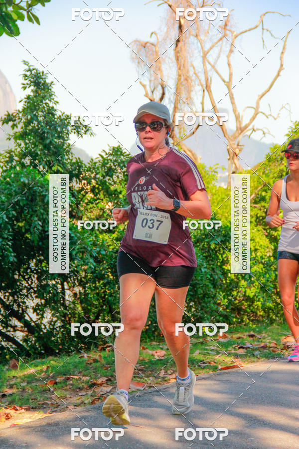 Buy your photos of the eventVelox Run on Fotop