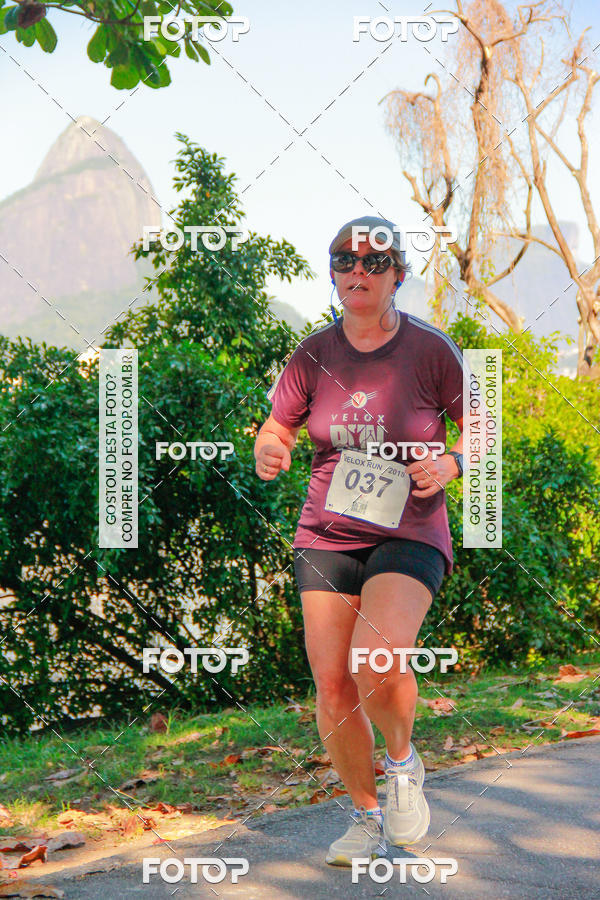 Buy your photos of the eventVelox Run on Fotop
