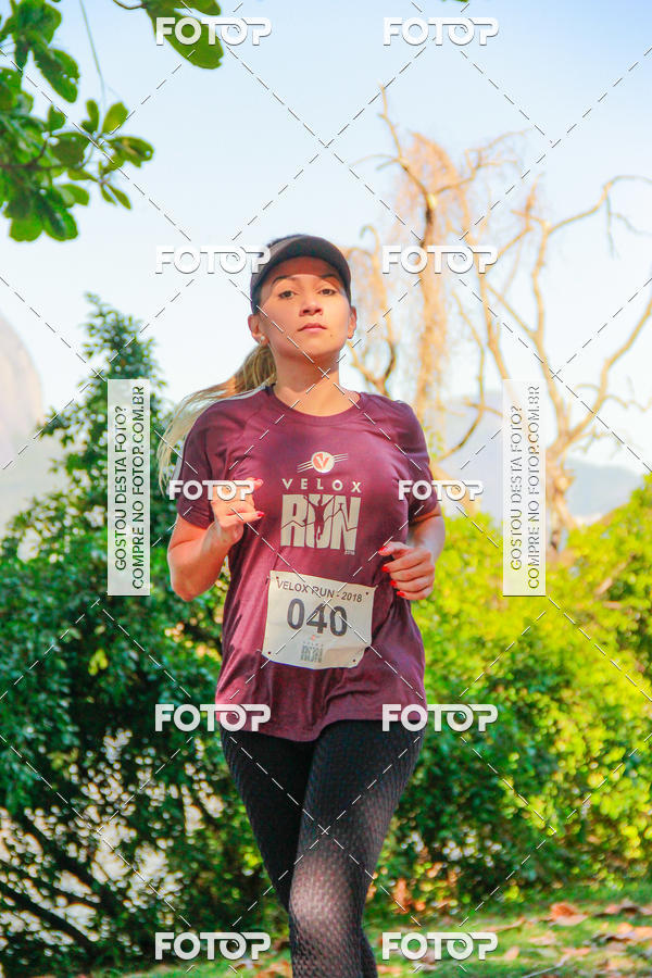 Buy your photos of the eventVelox Run on Fotop