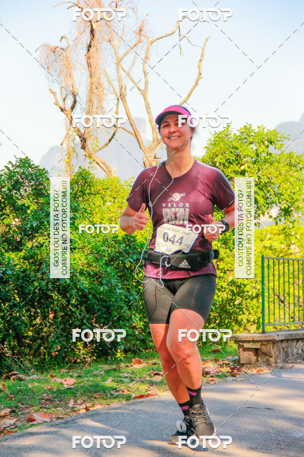 Buy your photos of the eventVelox Run on Fotop