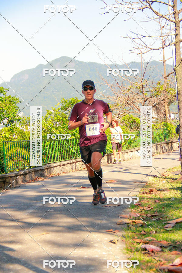 Buy your photos of the eventVelox Run on Fotop