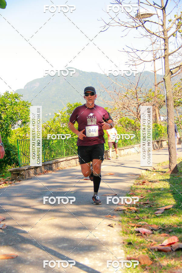 Buy your photos of the eventVelox Run on Fotop