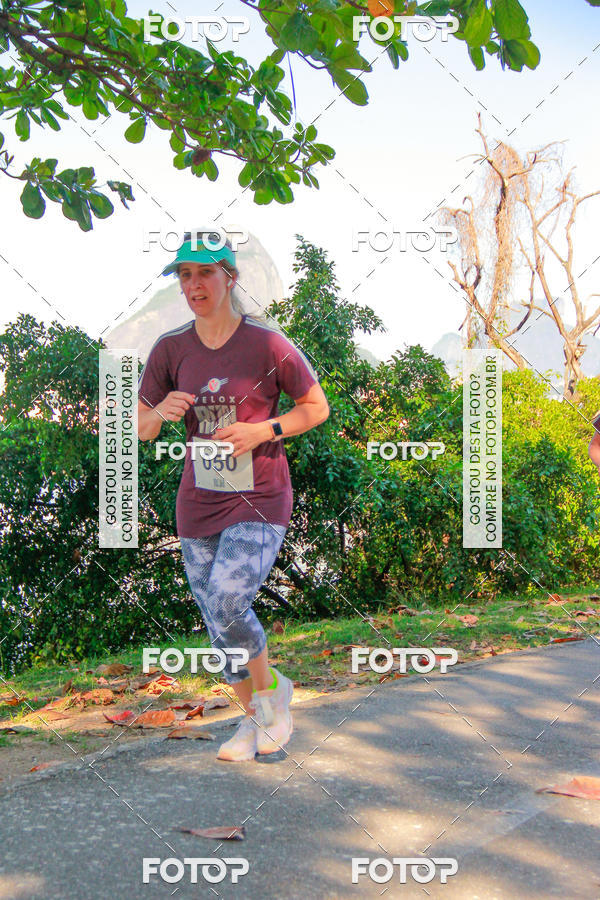 Buy your photos of the eventVelox Run on Fotop