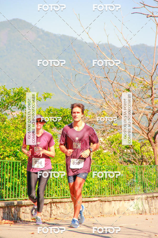 Buy your photos of the eventVelox Run on Fotop