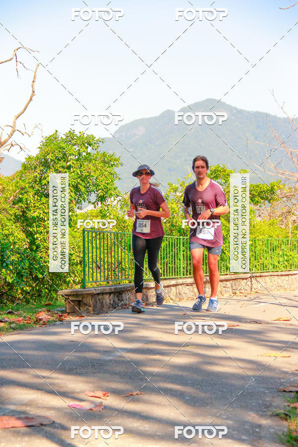 Buy your photos of the eventVelox Run on Fotop