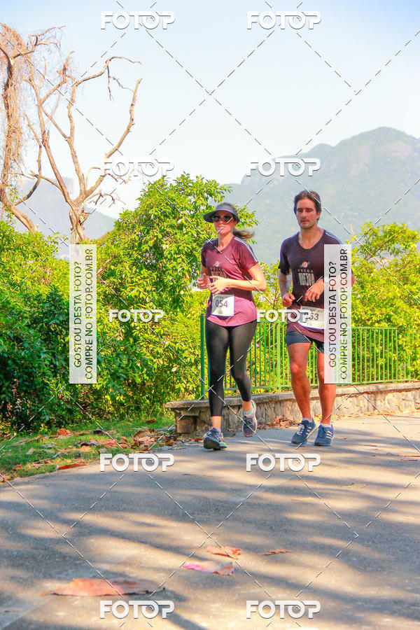 Buy your photos of the eventVelox Run on Fotop