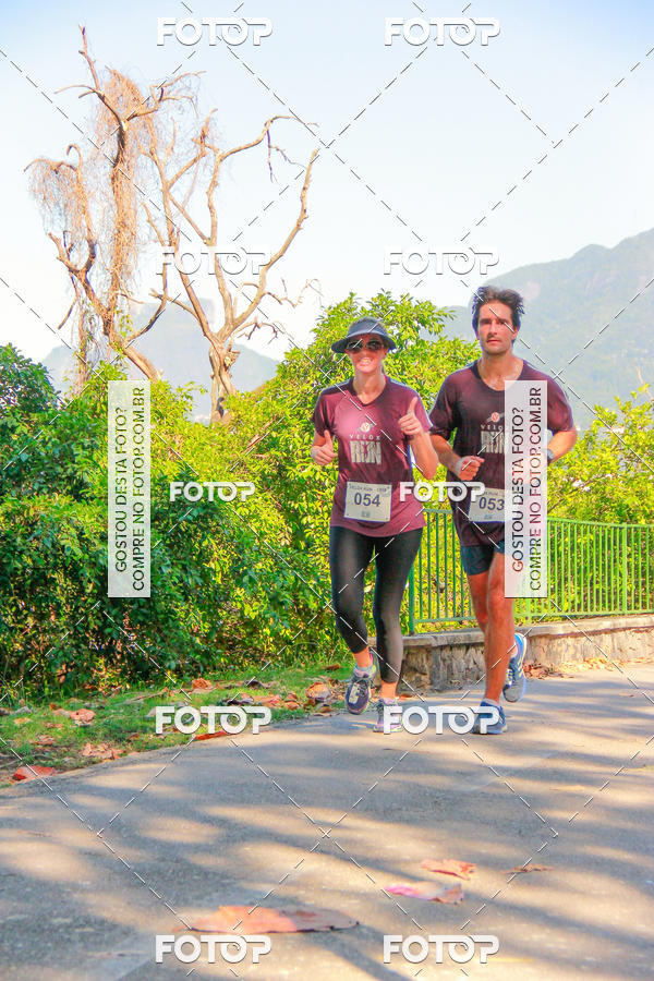 Buy your photos of the eventVelox Run on Fotop