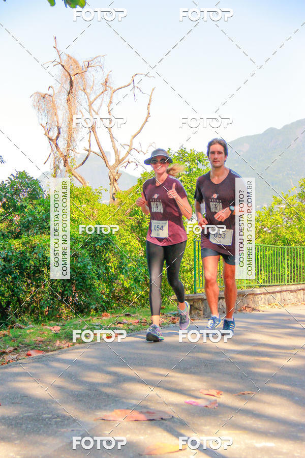 Buy your photos of the eventVelox Run on Fotop