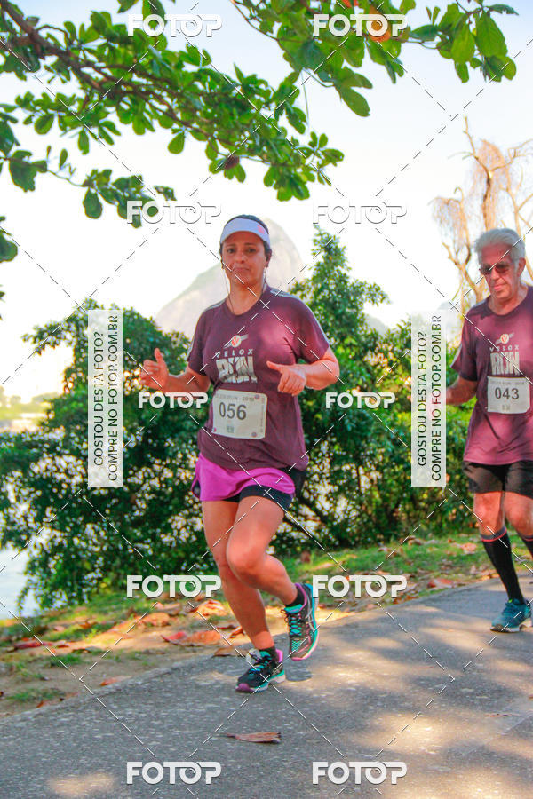 Buy your photos of the eventVelox Run on Fotop