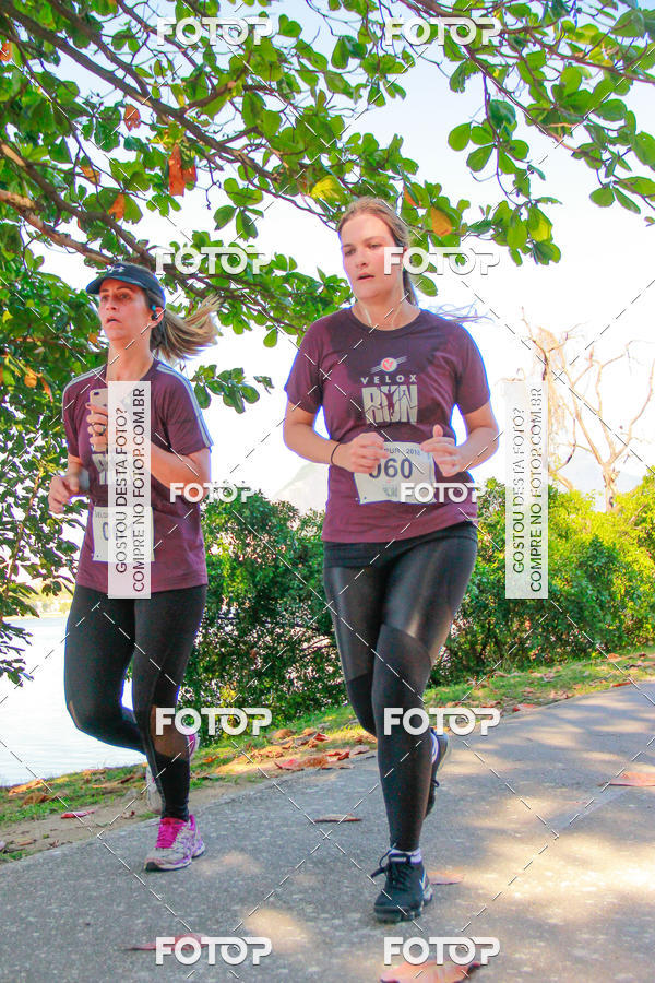 Buy your photos of the eventVelox Run on Fotop