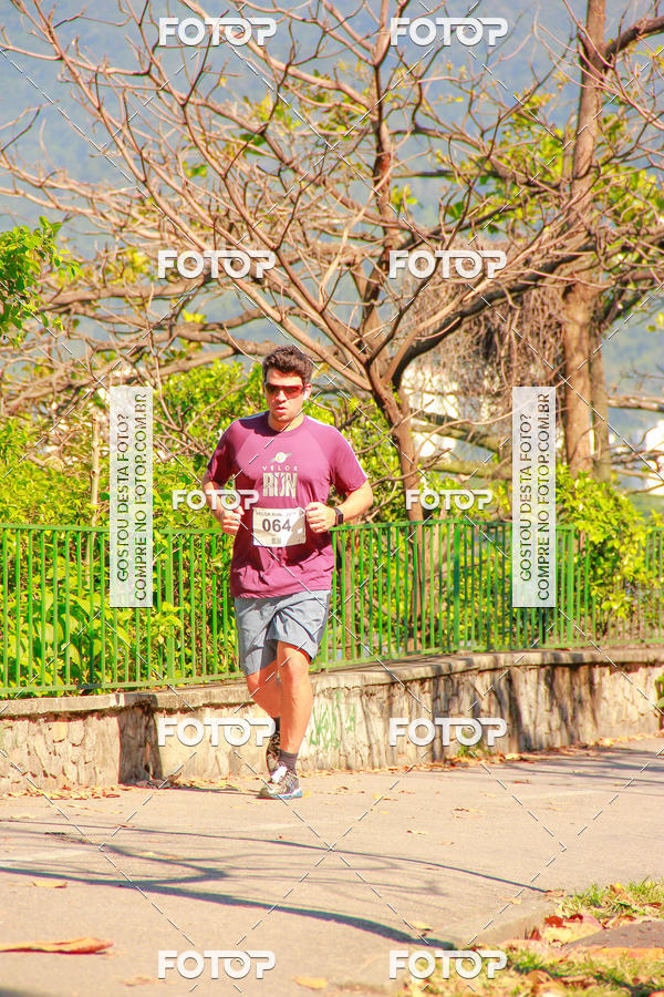 Buy your photos of the eventVelox Run on Fotop